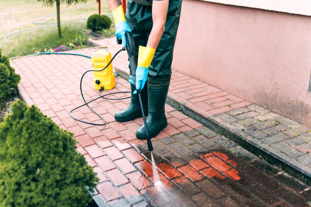 Best Pressure Washing Siding  in East Orange, NJ