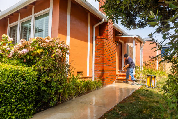 Best Local Pressure Washing Services  in East Orange, NJ